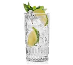 Gin en Tonic